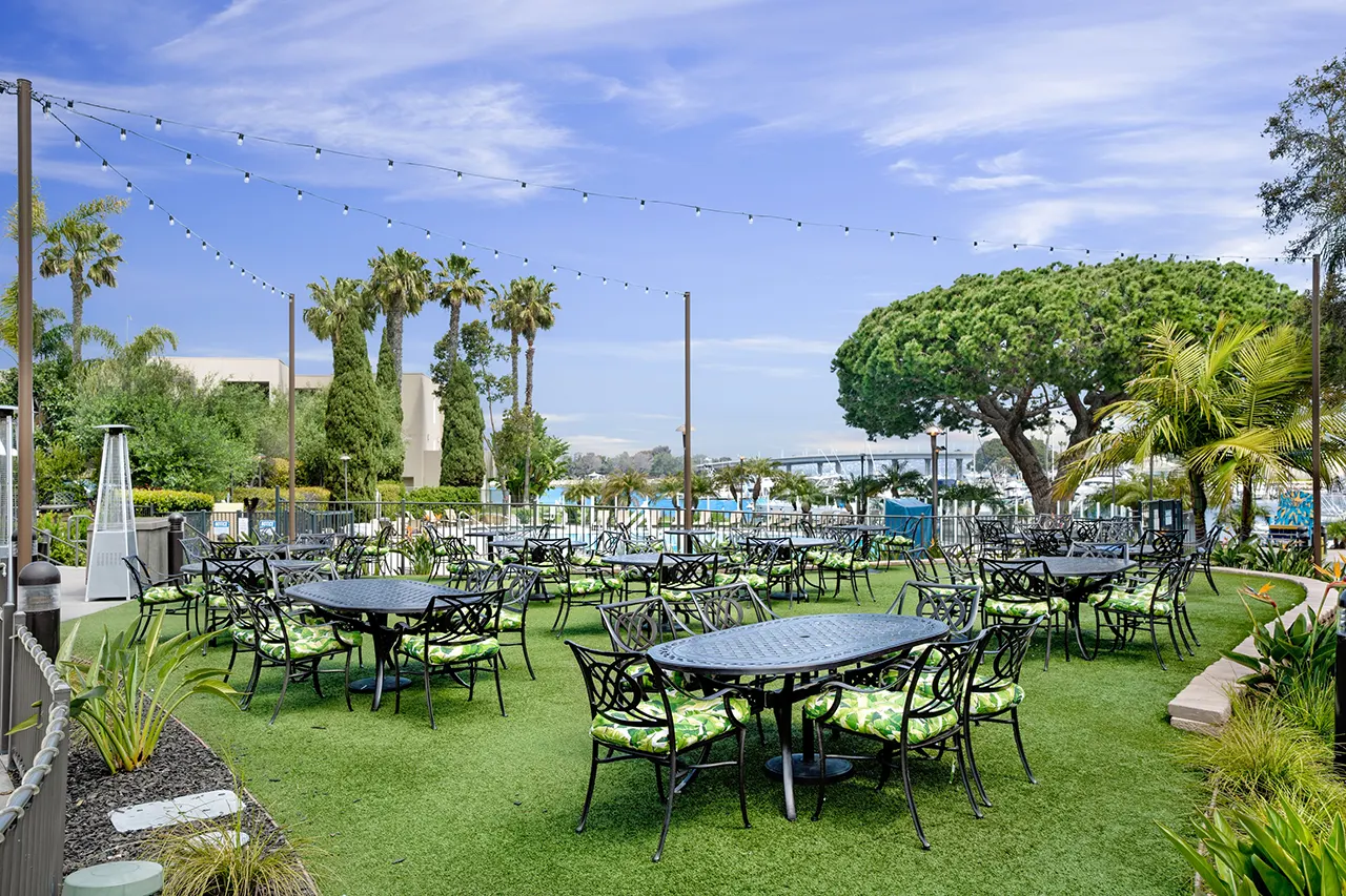 Dana Firefly - Patio 1